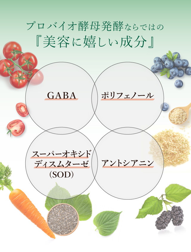 美容に嬉しい4つの成分を配合：GABA・ポリフェノール・スーパーオキシドディスムターゼ・アントシアニン